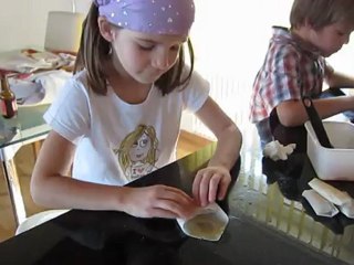 Rouleaux de printemps