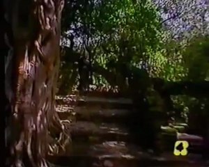 Yo Compro Esa Mujer FIN _húngaro_música original