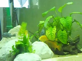 bebe malawi septembre 2012