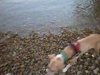 Redden à la mer 07-09-2012 n° 1