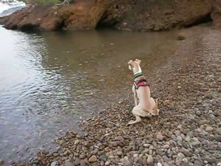 Redden à la mer 07-09-2012 n° 2