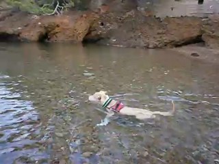 Redden à la mer 07-09-2012 n° 3