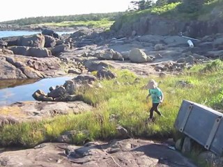 those winds by michael hermiston