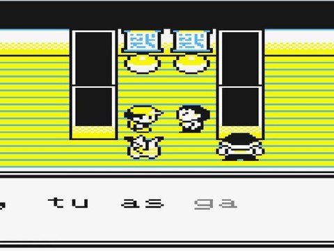 (WT) Pokémon Version Jaune [22] : Le Dojo Pokémon de Safrania