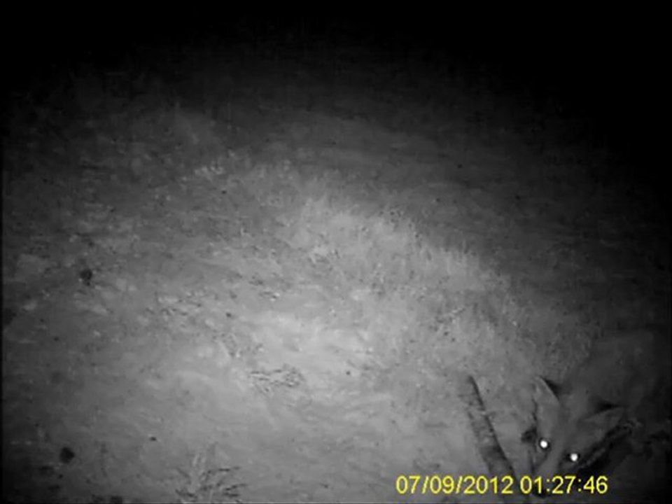 une semaine au piege