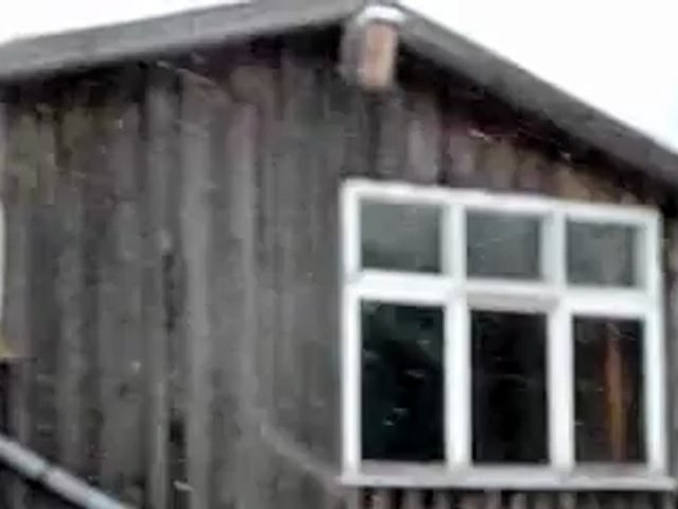 Test video daily