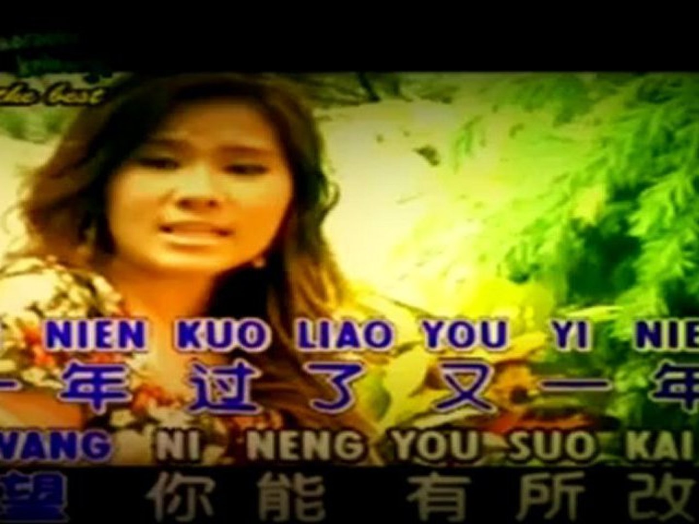 恨你情難守 (  黄佳佳 )