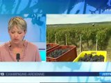 Sept-Saulx : Prison ferme et vignes confisquées