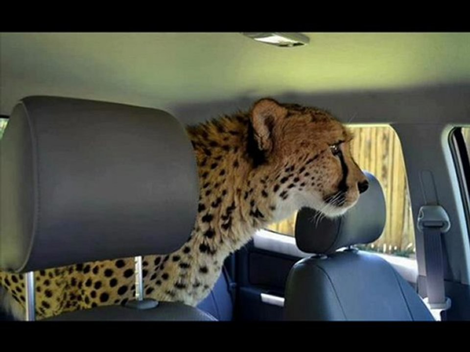 Canon PowerShot SX260 HS Best Cheapest Black Friday