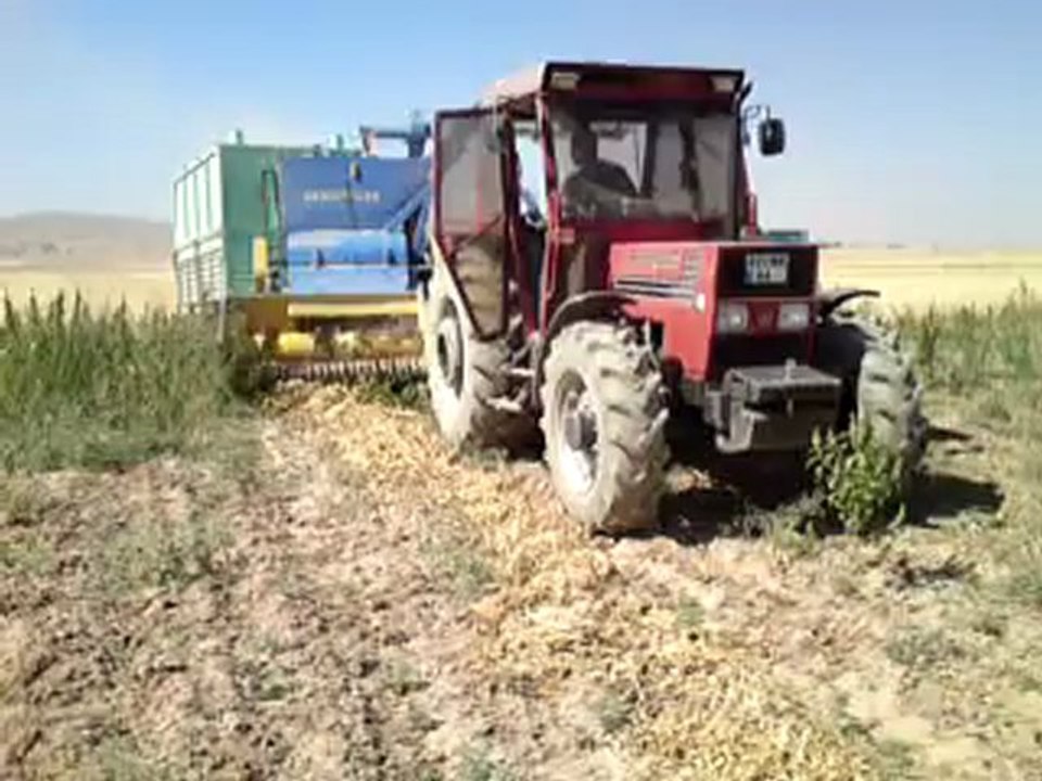 TÜMOSAN 90.80 DT DEMİRELLER HASAT MAKİNASI İLE FASULYE HASATINDA [Part 1]...!!!