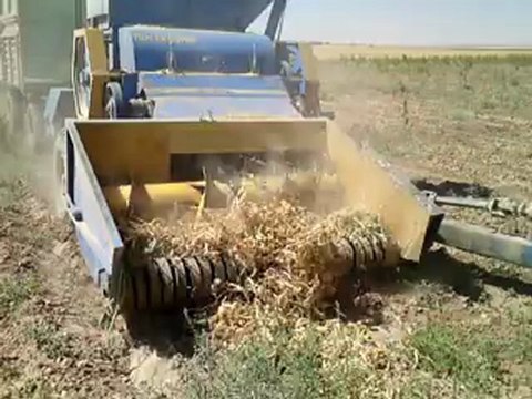 2x TÜMOSAN 90.80 DT 2x DEMİRELLER HASAT MAKİNASI İLE FASULYE HASATINDA [Part 1]...!!!