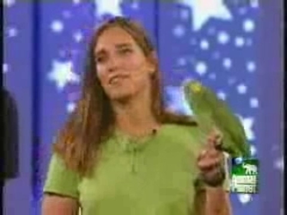 Amazon - Parrot  Korbell