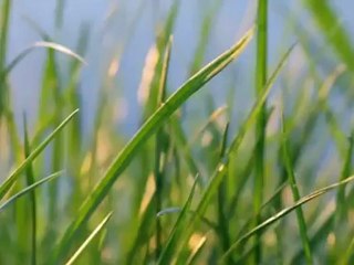 Kamal Muhamad New Clip 2012 La Dwai To