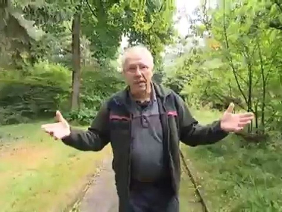 The Town of Hannoversch Münden | Discover Germany