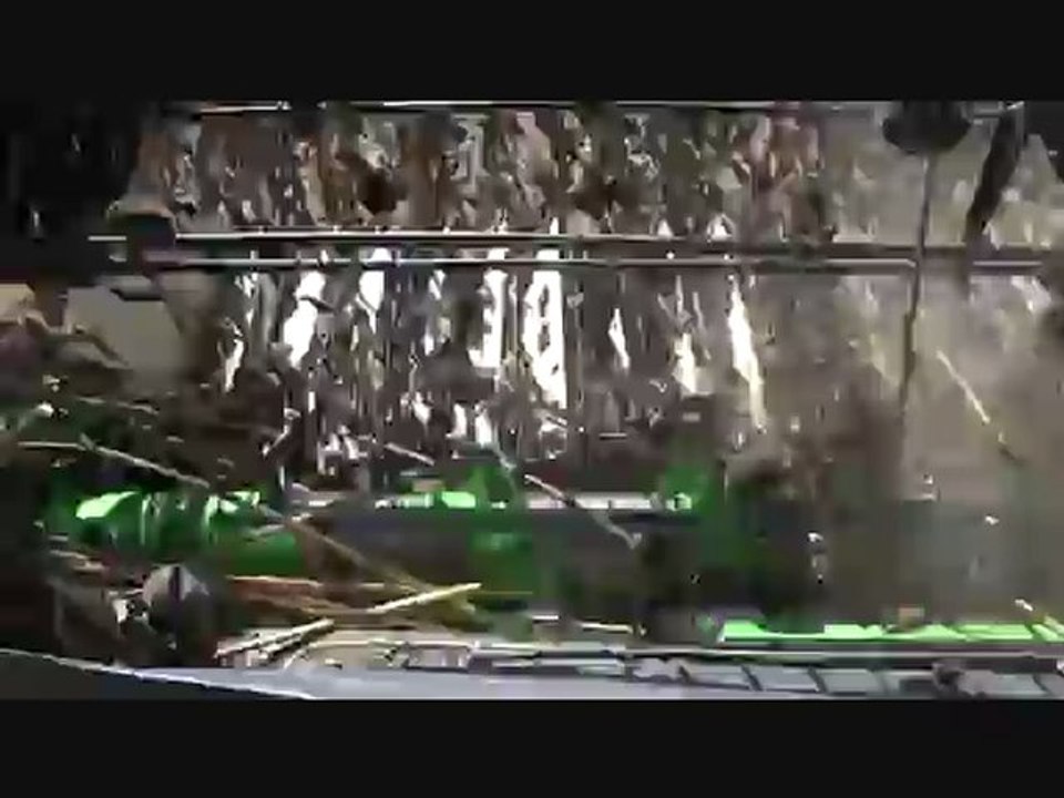 Moisson du tournesol à Marsal (57)