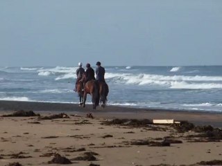 Plage de Sciotot 2012