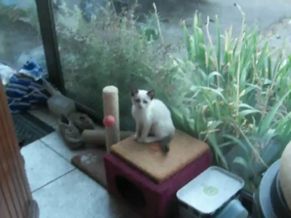 Lucky - 8 sept 2012
