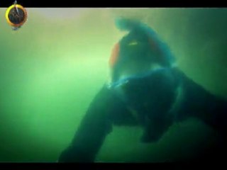 Hoy No Duermo en Casa - Canteras Inundadas y Cañoning en el Río Yuspe - Cap.1