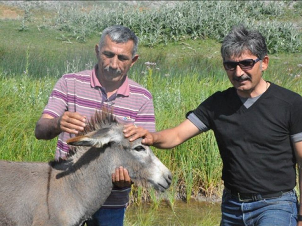 Barfiks 19        " Soner  GENEL "