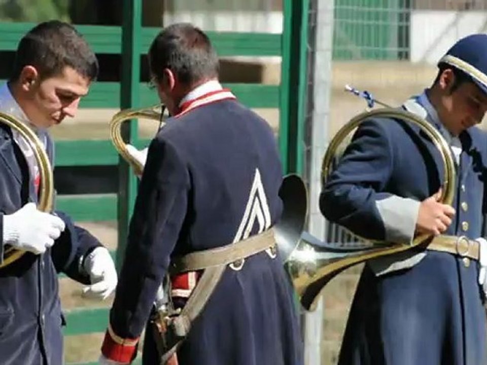 le bat l'eau par Fanfare.