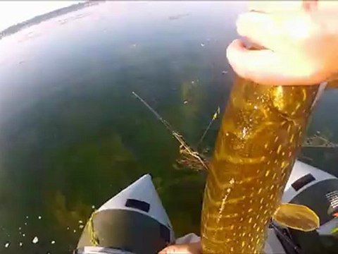 peche du brochet au grand large