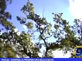 Puglia | Sospesa la preapertura della caccia