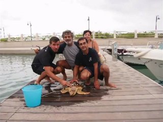 tartaruga marina salvata