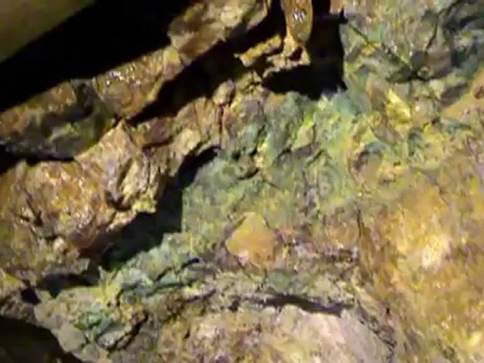 New01.mpg    Mine ALLY