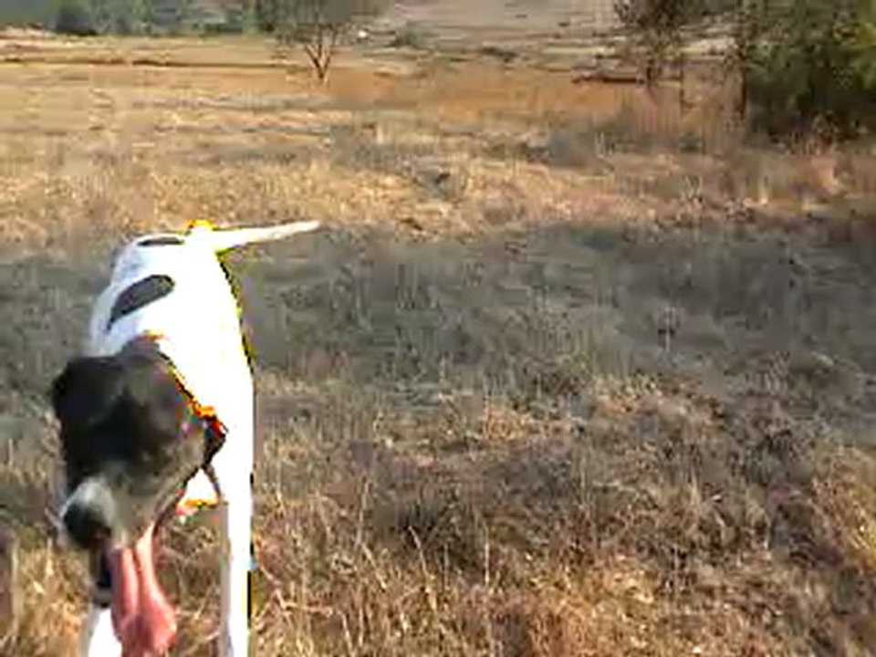 MOV00014