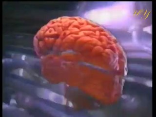 Documentaire - Le petit homme dans la tour