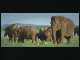 Sri Lanka Vacation Tours