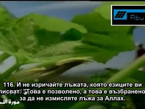 СУРА ПЧЕЛИТЕ (АН-НАХЛ) 16_112-119