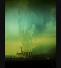 one hour before the trip depredation