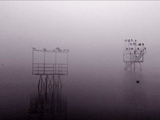 one hour before the trip yen