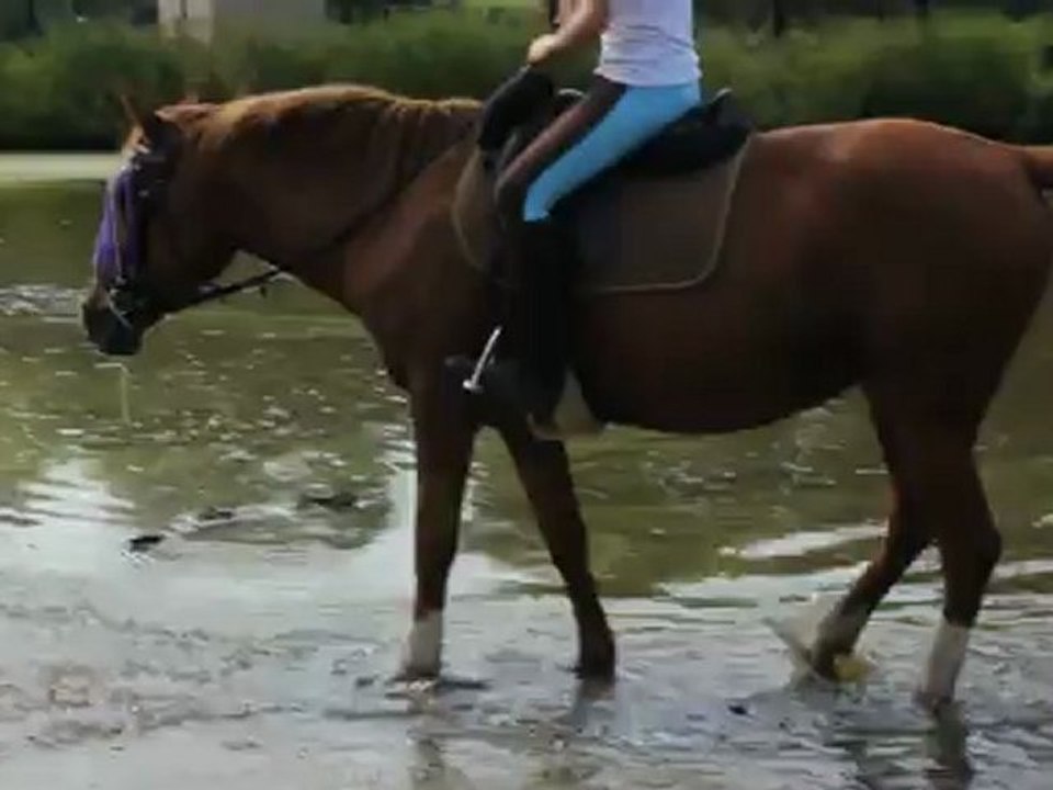 Océane du Pré Prince dans le gué