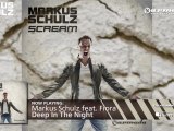 Markus Schulz - Scream (Out now)