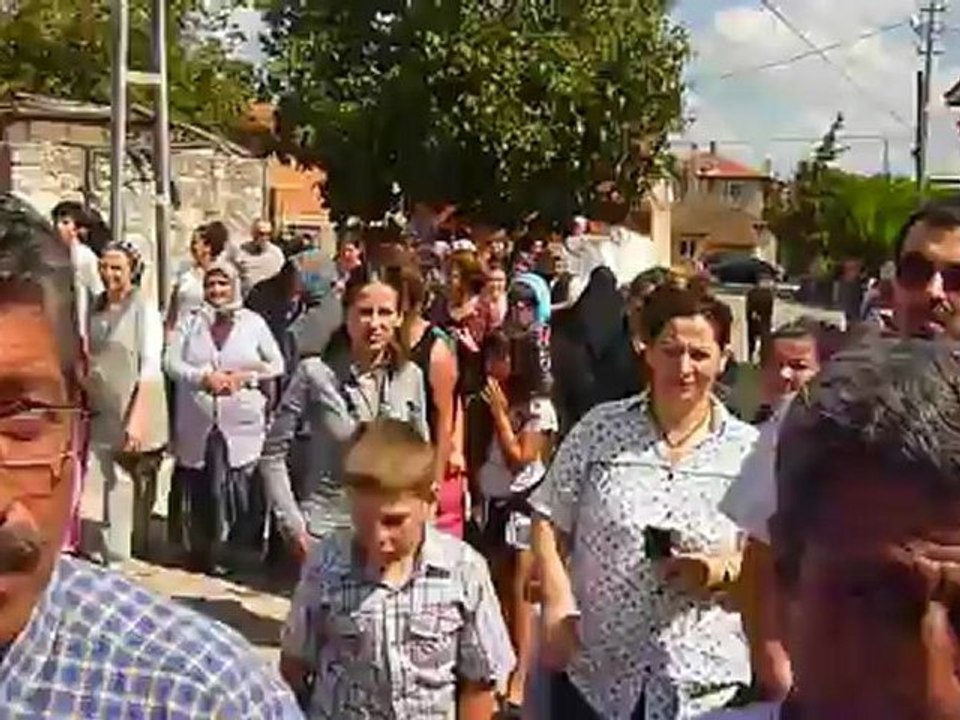 Aret dalı