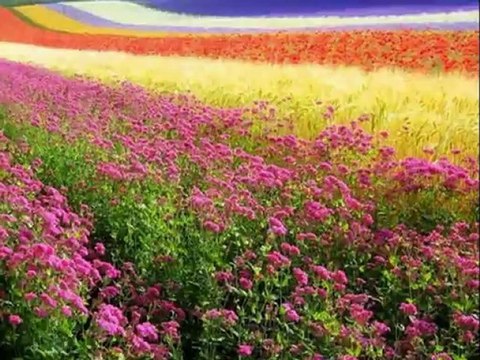 Hayat Sen Ne Çabuk Harcadın Beni