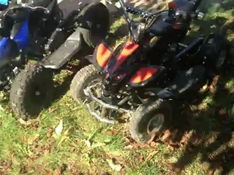 Quad N31M4D