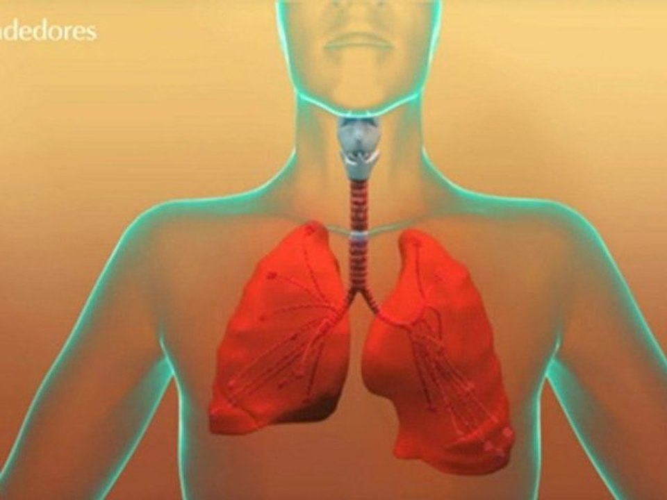 Diferencias EPOC vs. Asma. Uso de corticoides