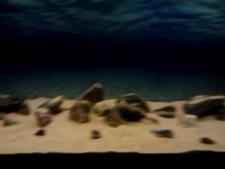 video-2012-09-09-23-47-23