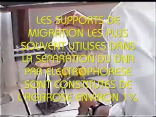 Step-by-Step Guide to Preparing Agarose Gel for DNA Electrophoresis 🧬