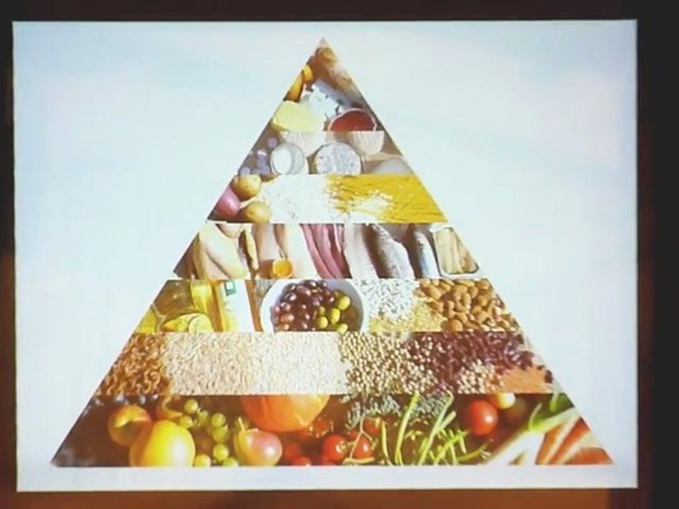 APIFERA - Quelle alimentation pour quels besoins, conférence Eric Ménat 20120614 (2/2)