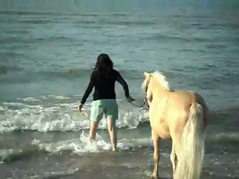 tj et moi dans l'eau