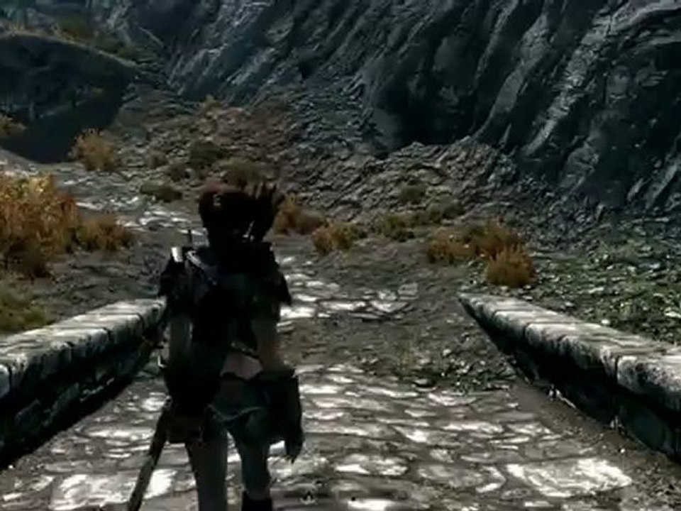 TESV Skyrim Testwalk