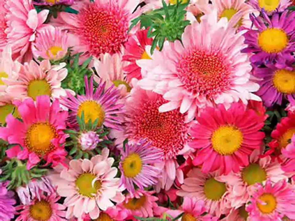 Ferhat AKIN - Koydun beni sevdaya