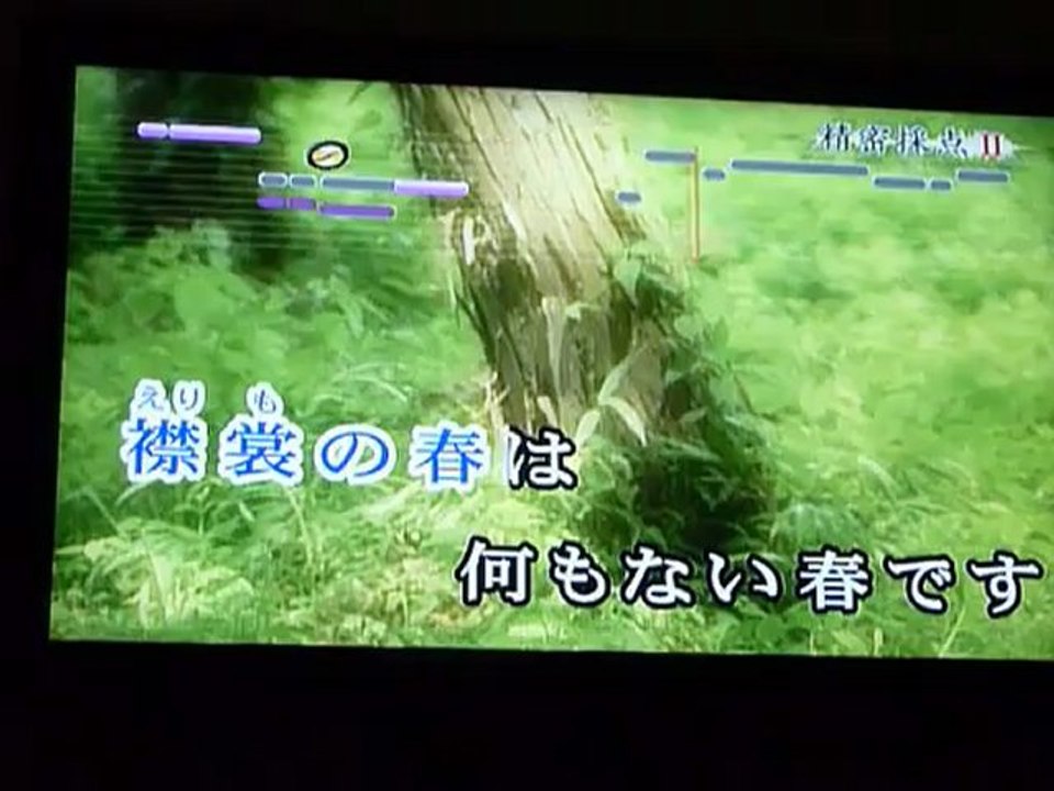 襟裳岬（あら還おじさん　カラオケ３）