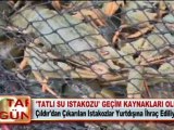 ‘TATLI SU ISTAKOZU’ GEÇİM KAYNAKLARI OLDU