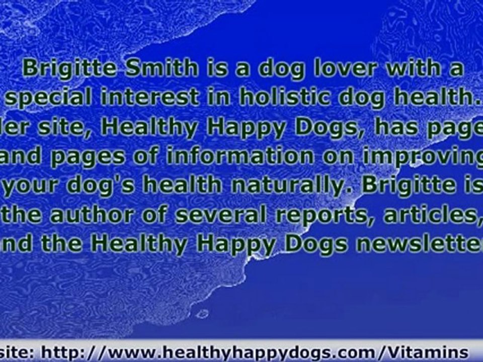 Vitamins Can Increase Your Dog's Life Span