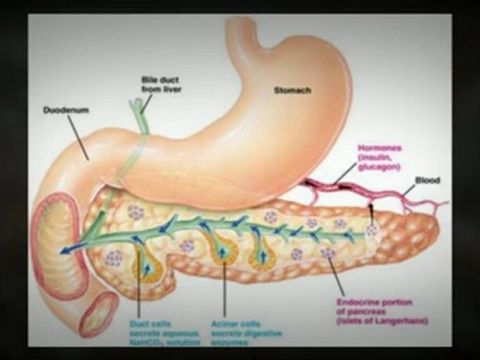 Pancreatic Cancer Surgery There is Hope